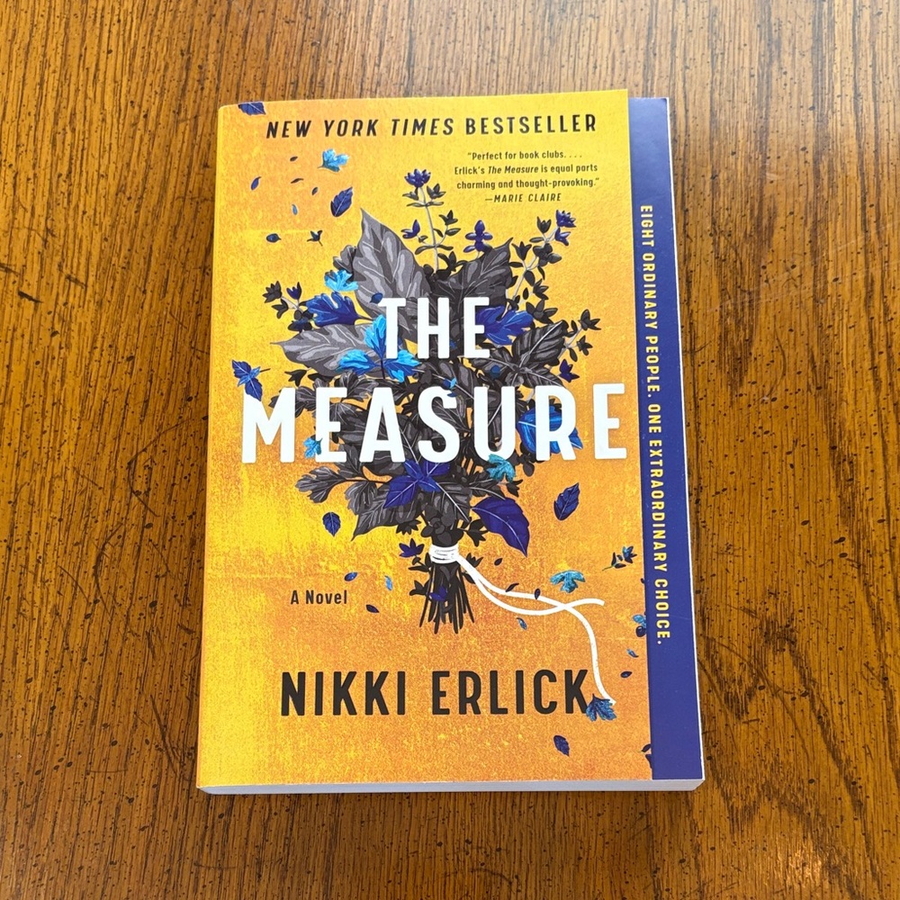 The Measure by - Nikki Erlick